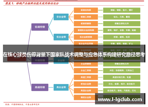 在核心球员伤停背景下国家队战术调整与应急体系构建研究路径思考